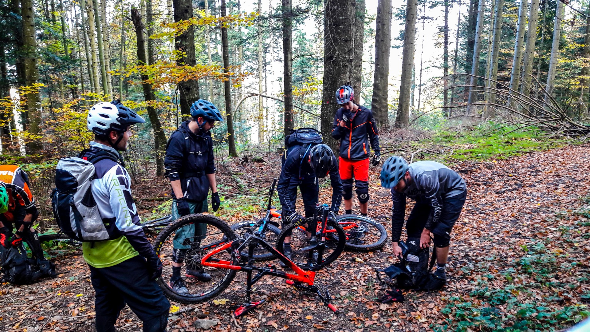 Red Leaves Day, journée de clôture 2017 Red Leaves Day, journée de clôture 2017